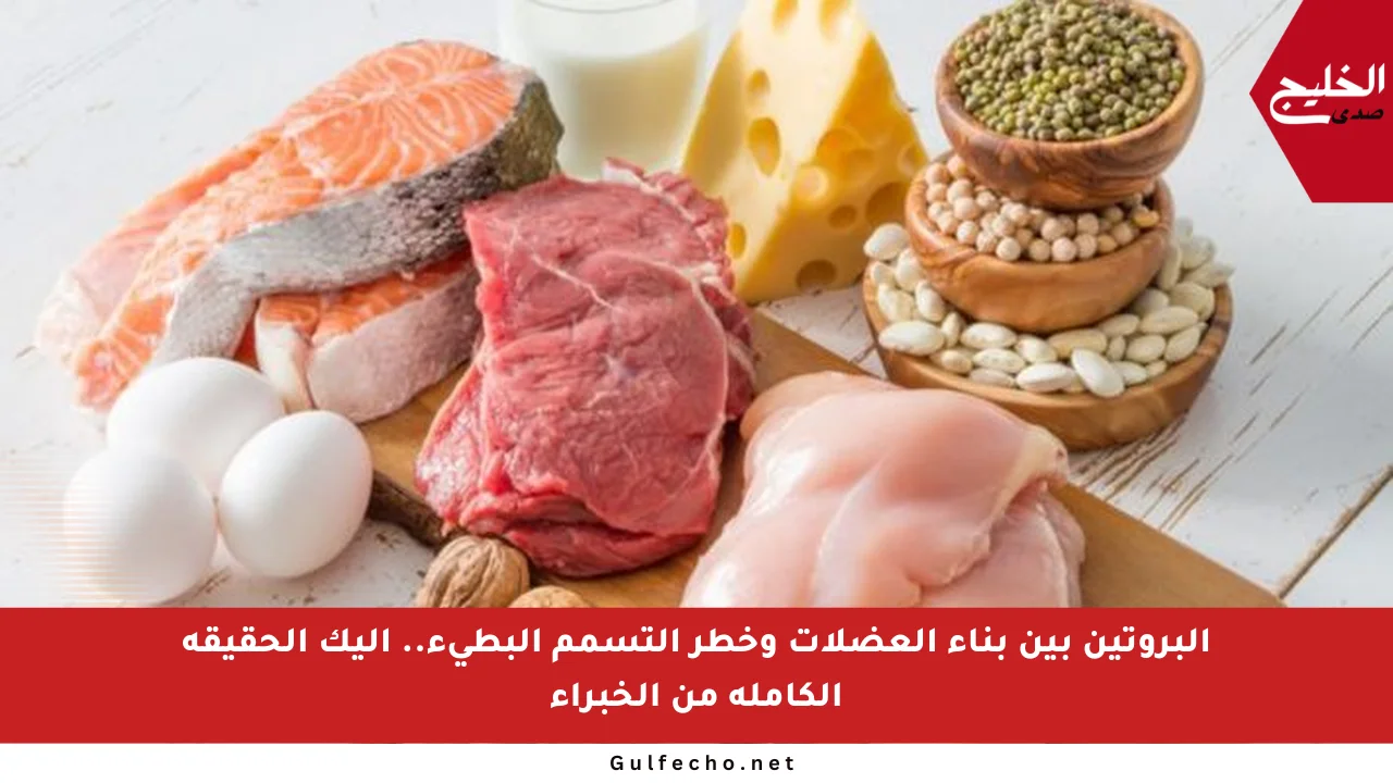 البروتين بين بناء العضلات وخطر التسمم البطيء.. إليك الحقيقة الكاملة من الخبراء